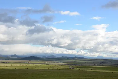 DSC_1044 (Large).JPG